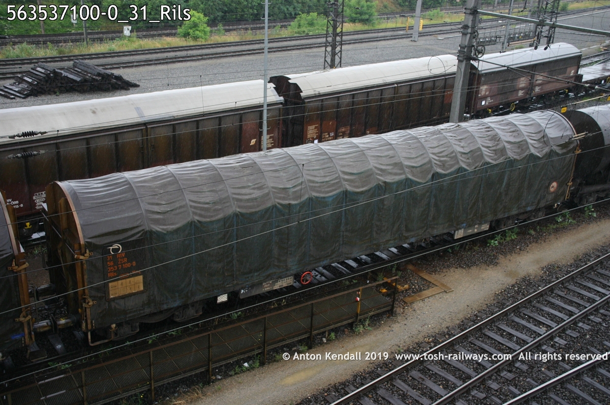 563537100-0_31_Rils.jpg